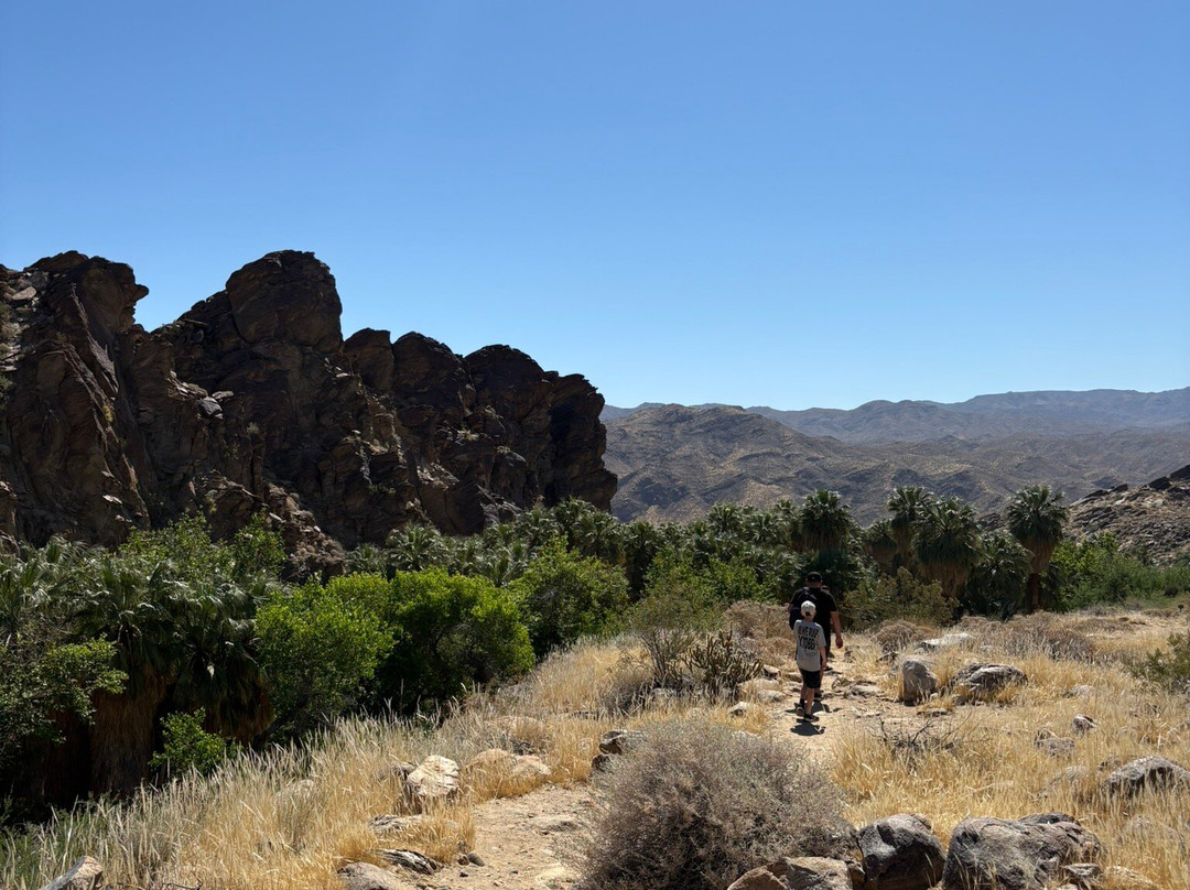 Indian Canyons Hiking Trails-棕榈泉市必去景点