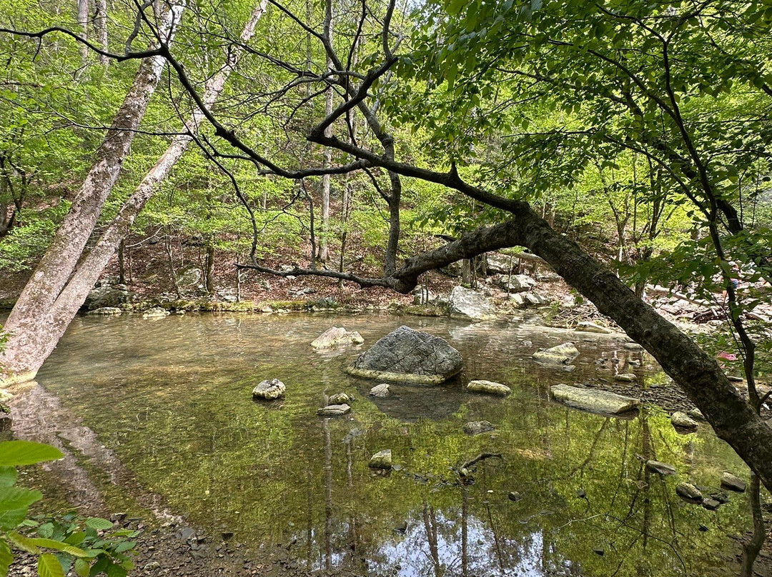Hot Springs National Park-温泉城必去景点