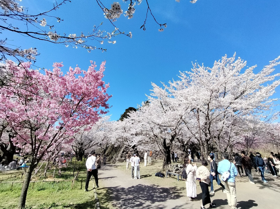 Kaikoen Garden-小诸市必去景点
