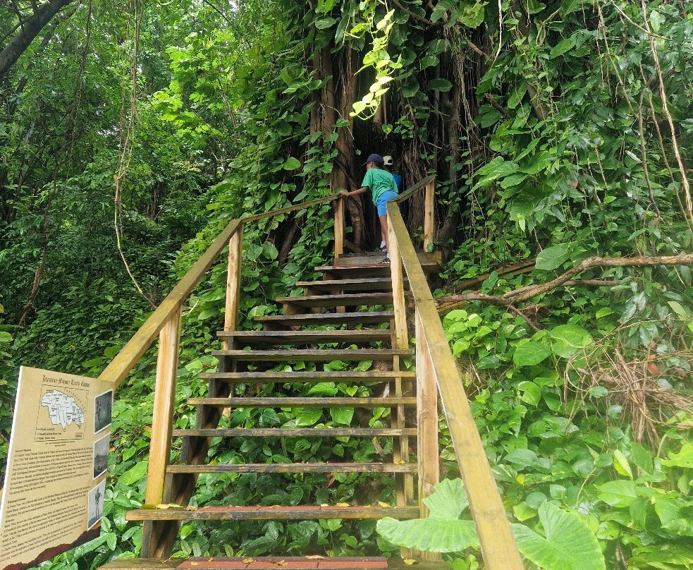 Konoko Falls & Park-奥乔里奥斯必去景点