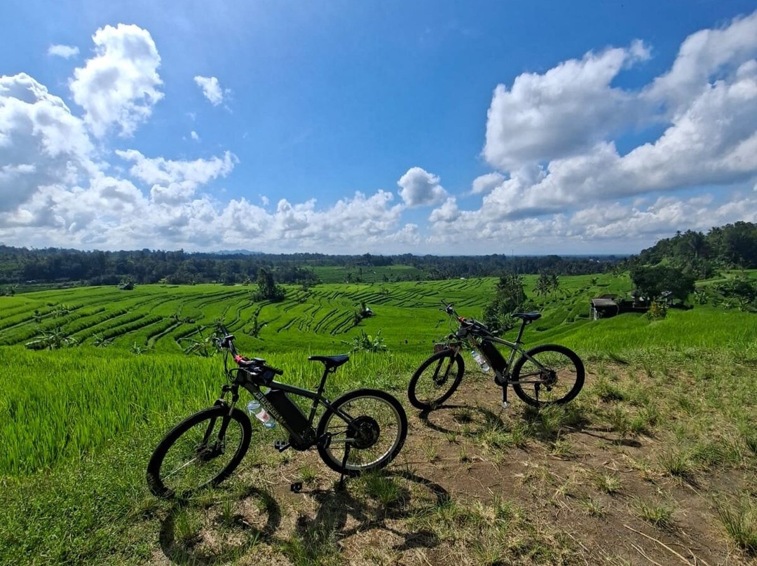 Jatiluwih Cycling & E-bike Tours With Bali By Pedals-达巴南必去景点