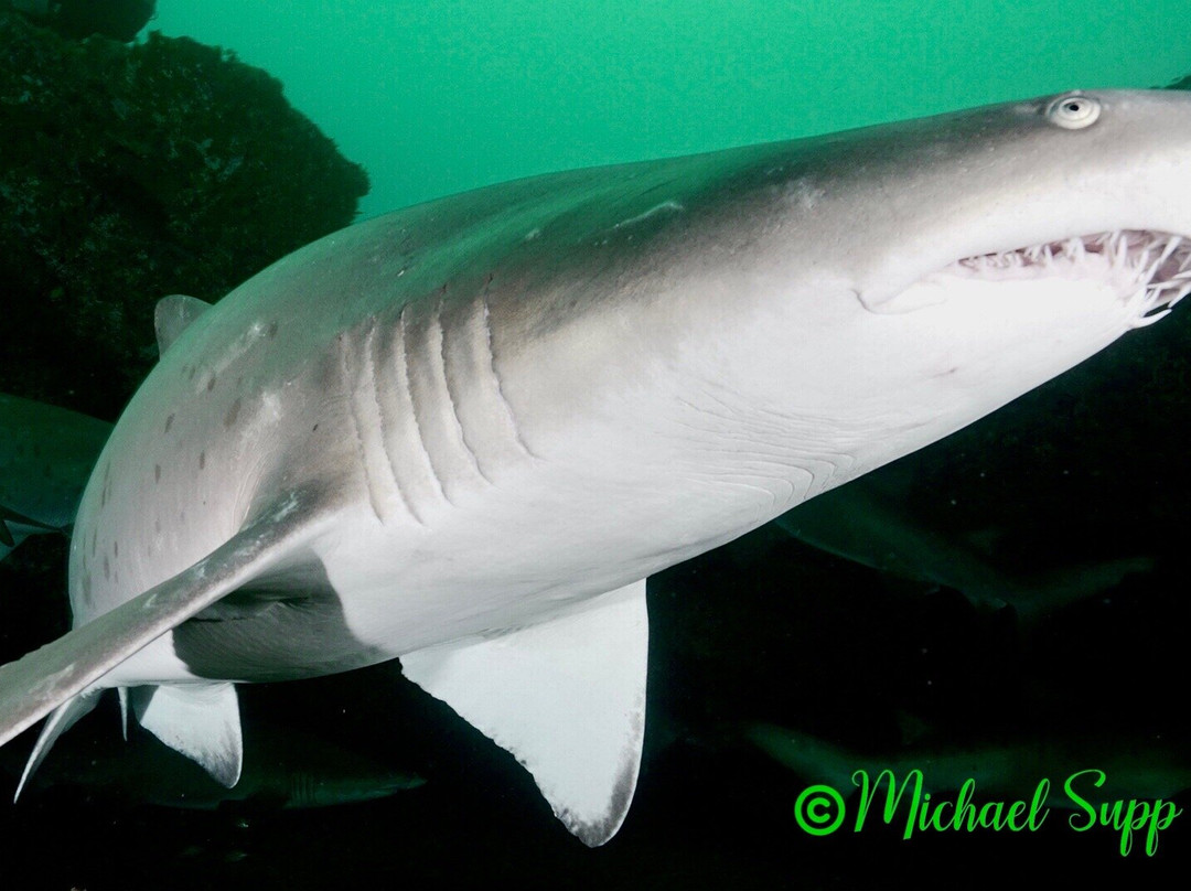 African Watersports-Umkomaas必去景点