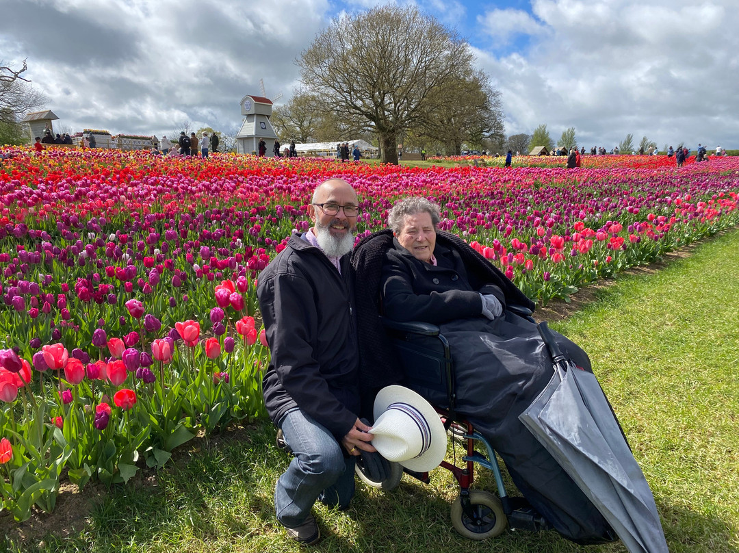 Tulleys Tulip Garden - Warwickshire-沃里克必去景点