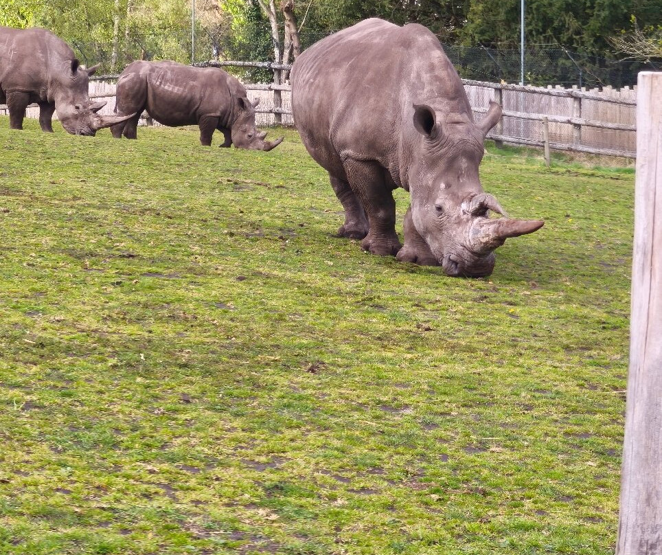 Safari Lodges At West Midlands Safari Park主图