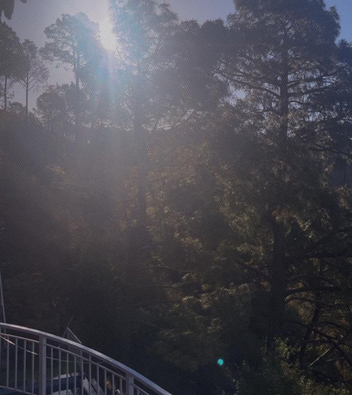 温妮斯假日水疗度假村主图