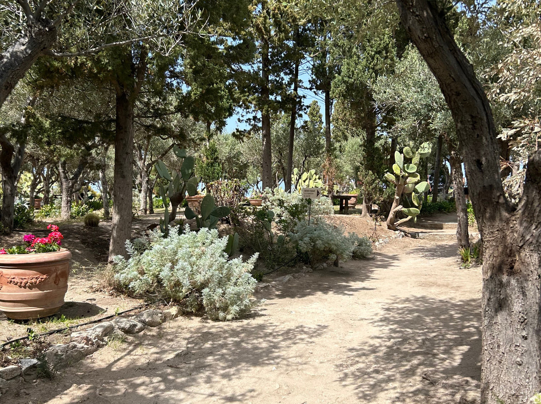 Santuario Di Santa Maria Dell'Isola Di Tropea-特罗佩阿必去景点