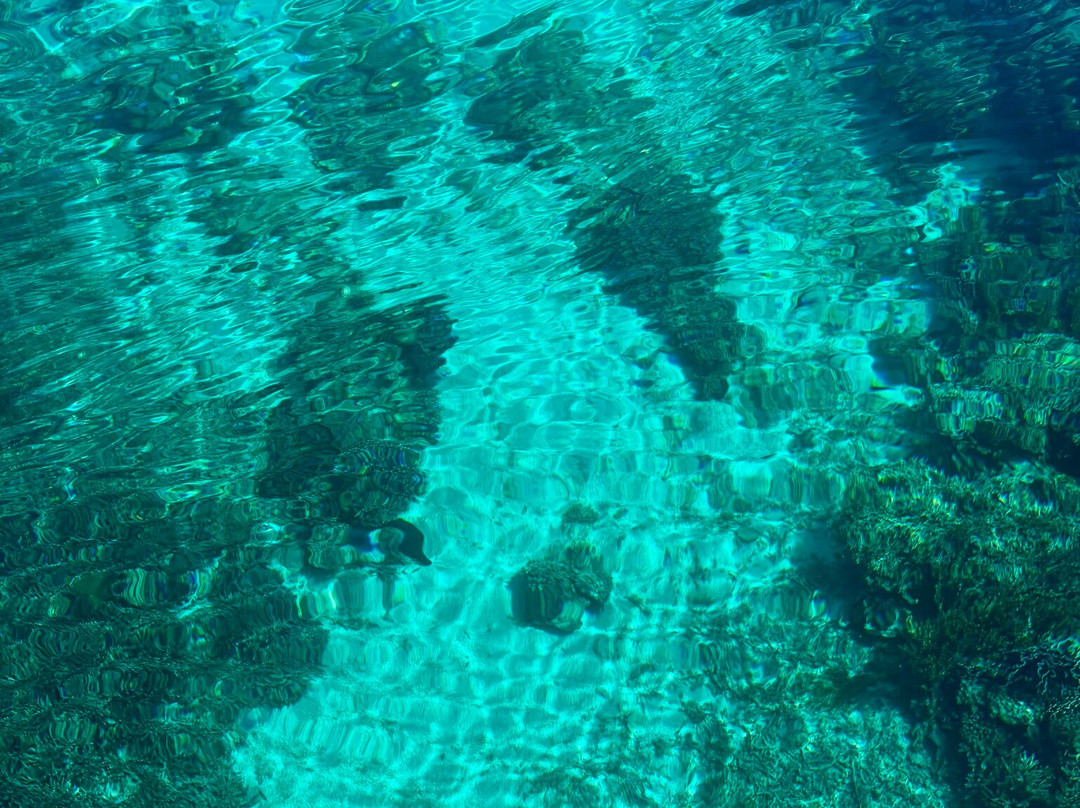 Dive Timor Lorosae-帝力必去景点
