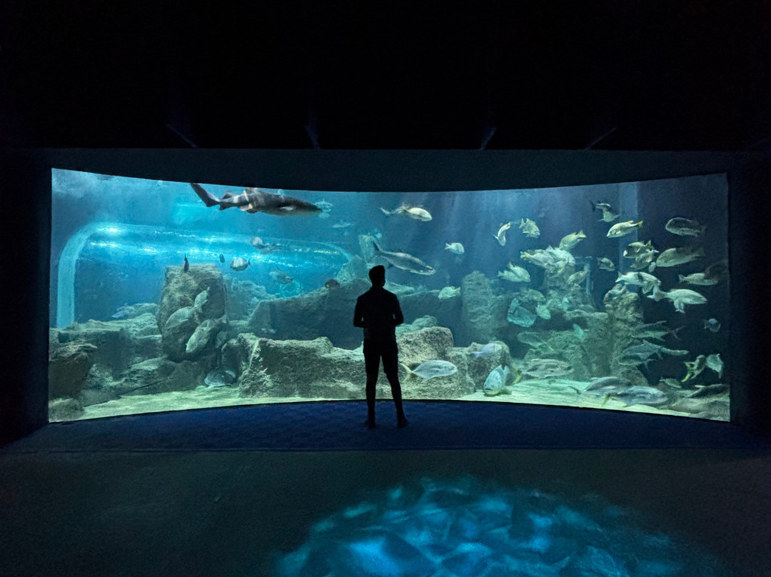 Acuario Michin Guadalajara-瓜达拉哈拉必去景点