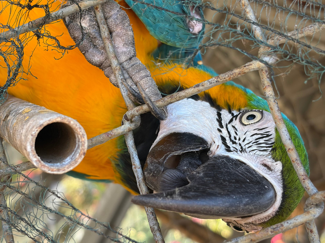 玛格丽塔岛国际度假村酒店主图