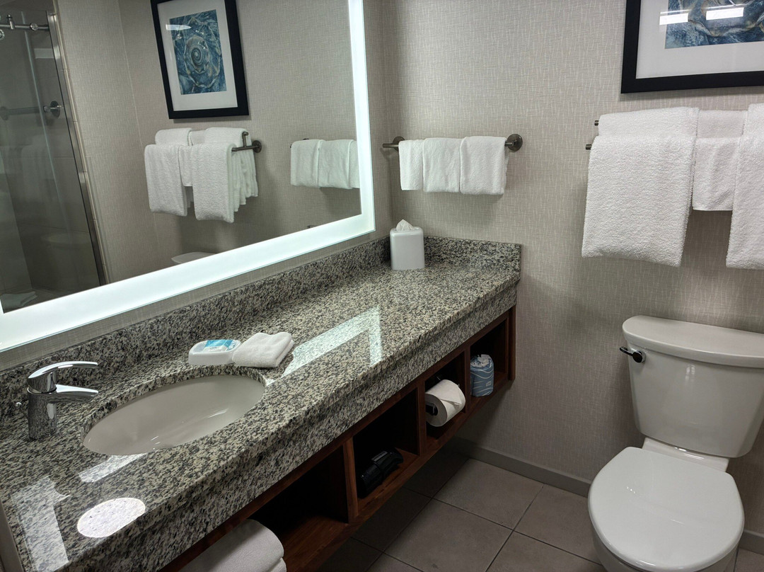 德鲁里广场酒店奥兰多-迪士尼温泉区主图