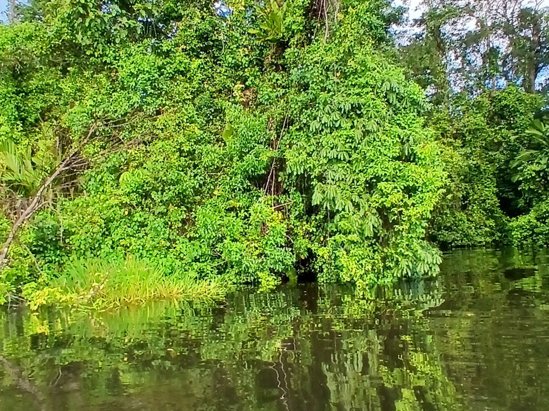 Tortuguero Tours-托图杰多必去景点