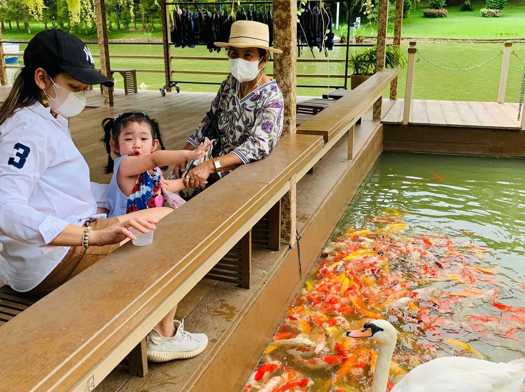 Veneto-愿拼县必去景点