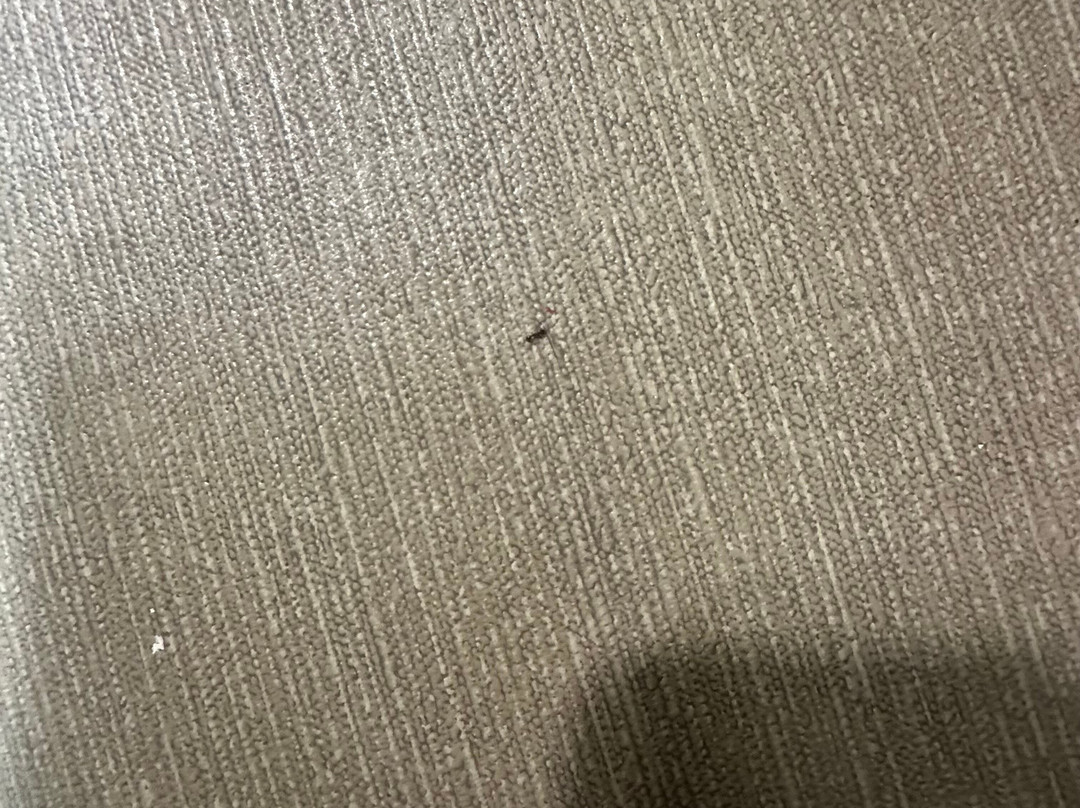 舒适套房酒店-近主图