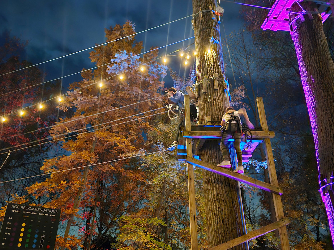 The Adventure Park At Sandy Spring-Sandy Spring必去景点