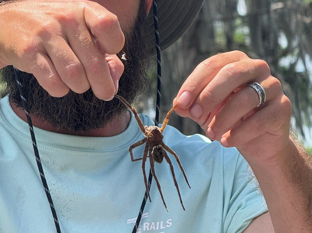 Cajun Country Swamp Tours-布里奥克斯桥必去景点