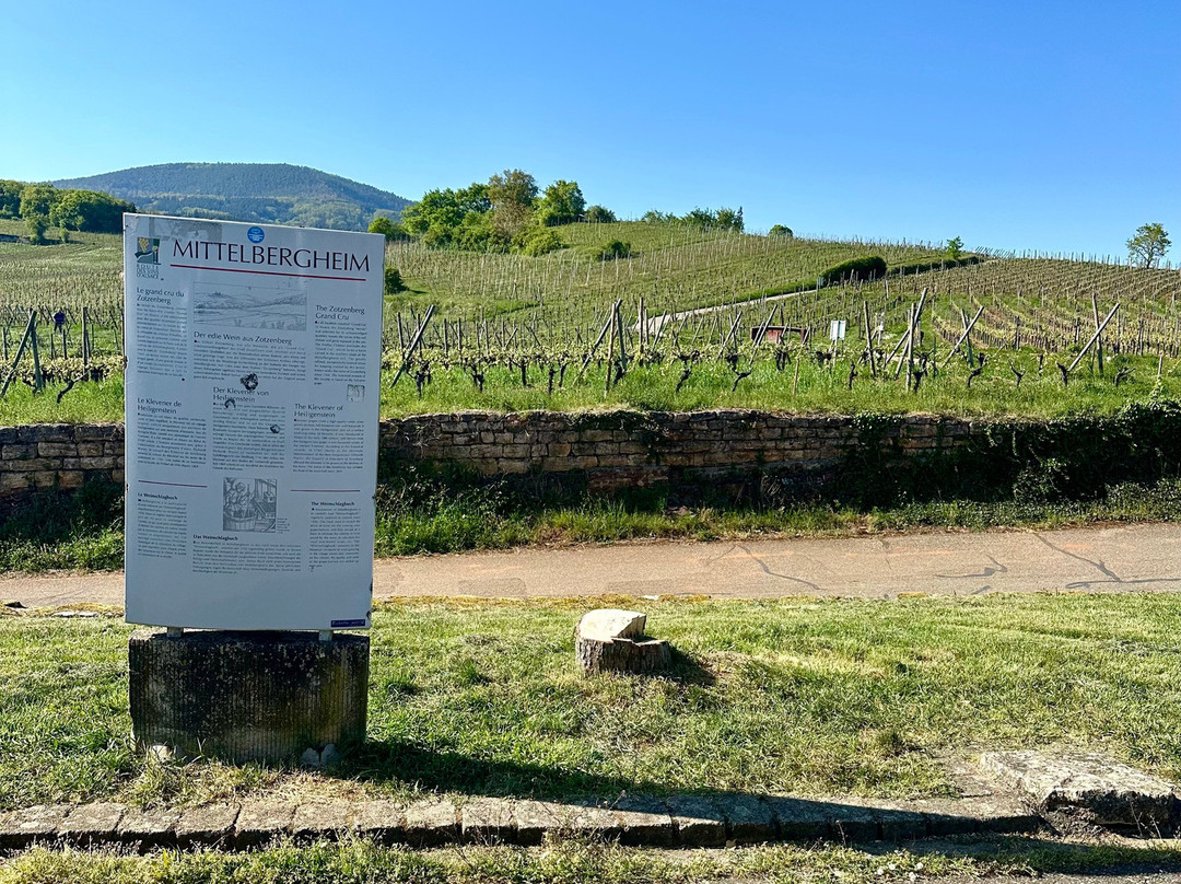 Domaine Albert Seltz-米特贝汉必去景点