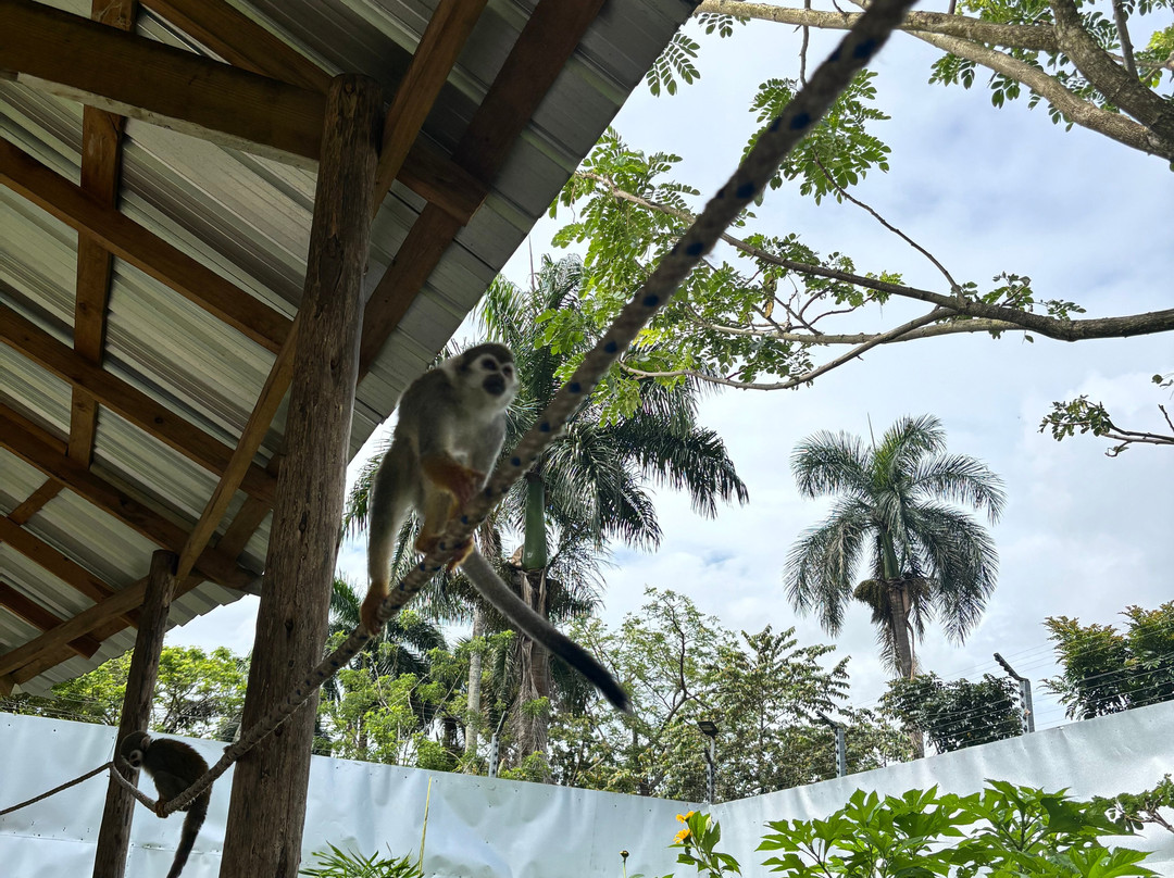 Monkey Home Puerto Plata-普拉塔港必去景点