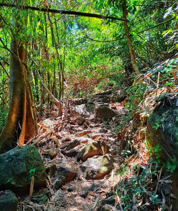 Bang Pae Waterfall-Thep Krasattri必去景点