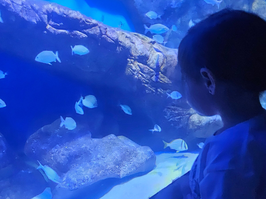 AquaRio-里约热内卢必去景点