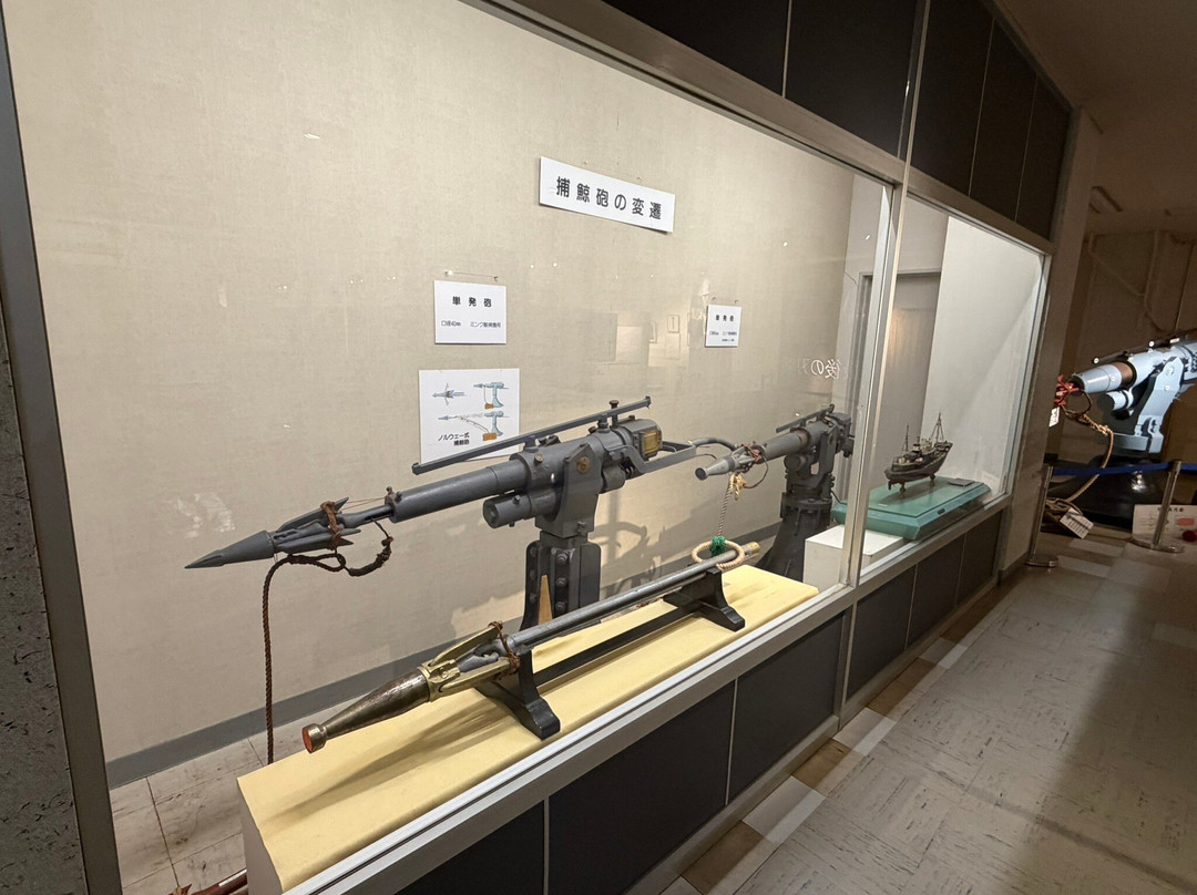Taiji Whale Museum-太地町必去景点