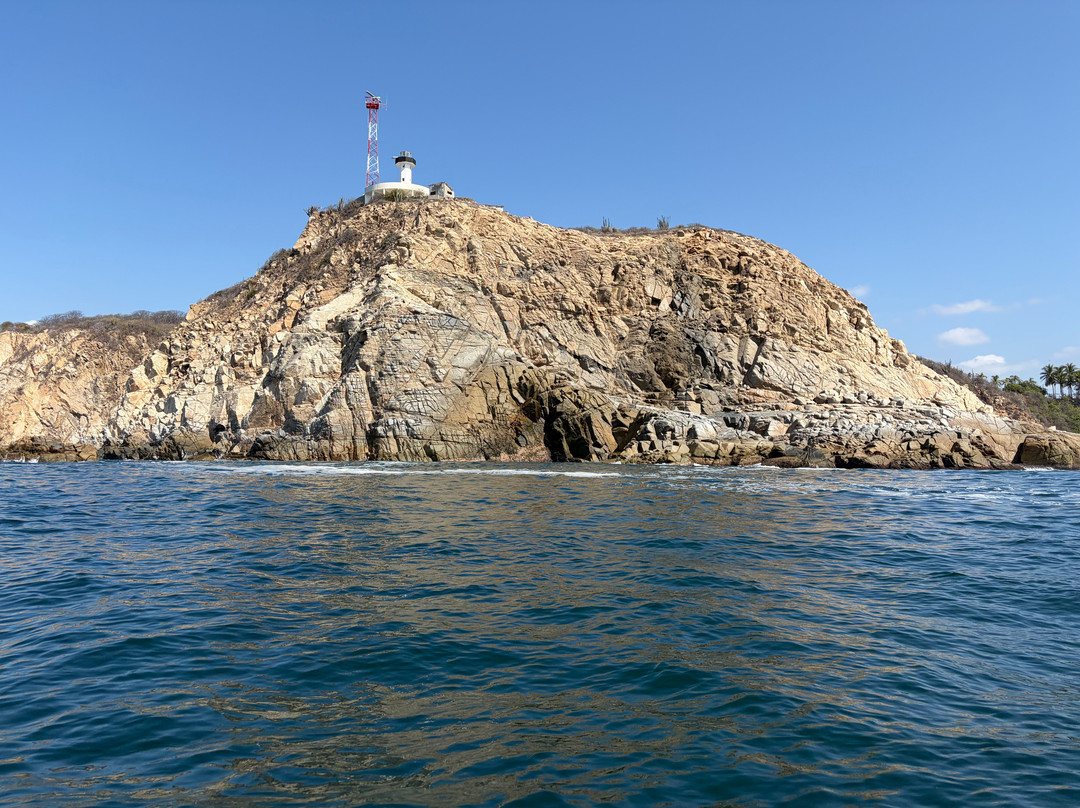 White Shark Sport Fishing & Tours-瓦图尔科必去景点