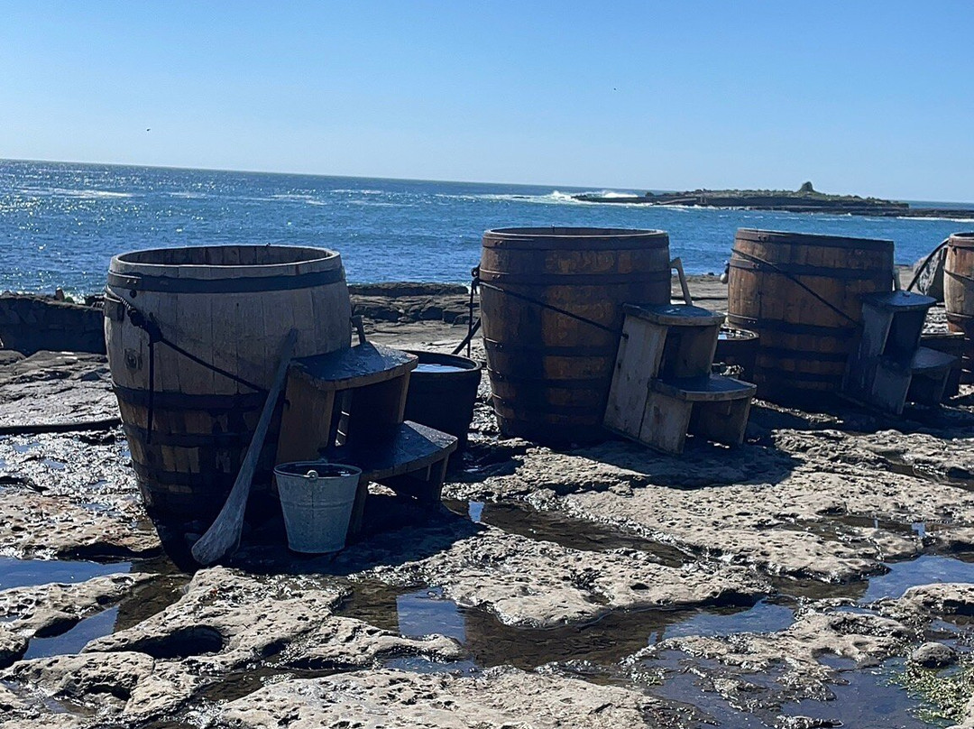 Wild Atlantic Seaweed Baths-Ballaghaline必去景点