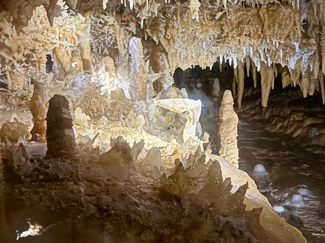 Grotte du Grand Roc-Les Eyzies-de-Tayac-Sireuil必去景点