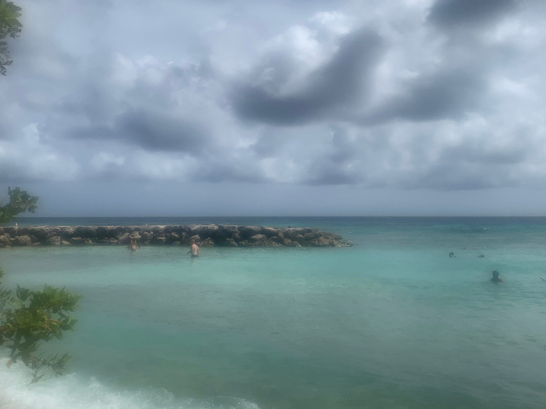 De Palm Island-阿鲁巴岛必去景点