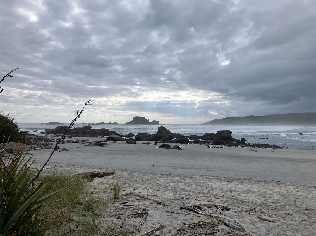 Kawatiri Coastal Trail-韦斯特波特必去景点