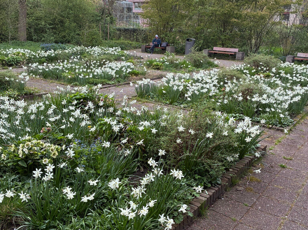 Gijsbrecht Aemstelpark-阿姆斯特丹必去景点
