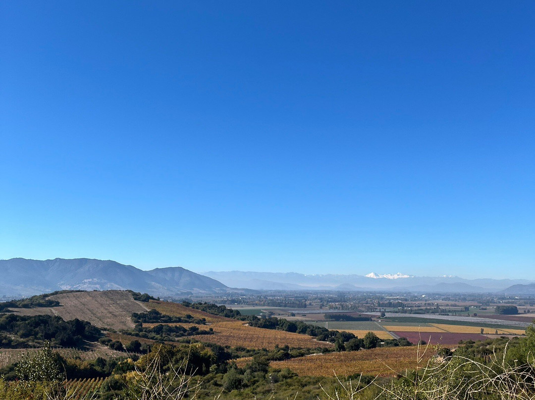 Natural Wine Tours-Palmilla必去景点