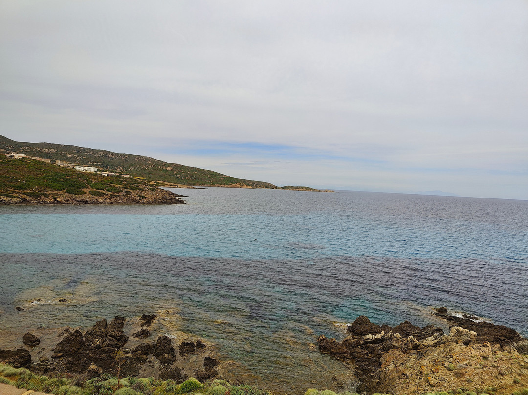 Asinara Charter Service-斯廷蒂诺必去景点