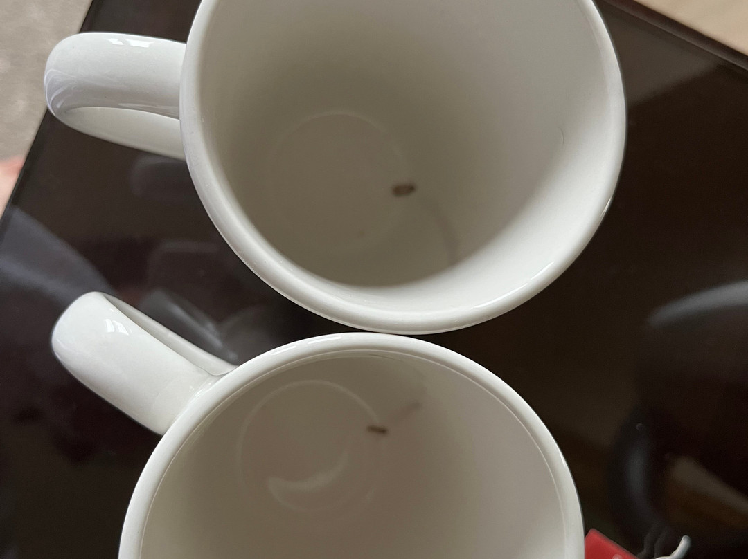 维尔康布酒店，贝斯特韦斯特至尊精选主图