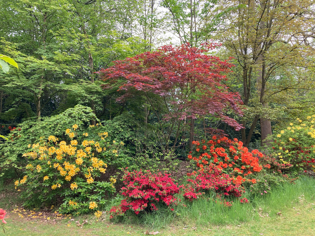 Green Island Gardens-Ardleigh必去景点
