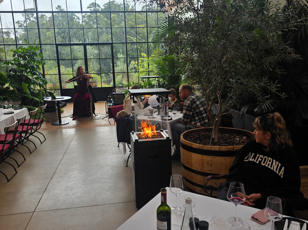 Alto Wine Estate-斯泰伦博斯必去景点