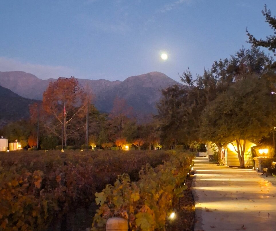 Alyan Family Wines-Pirque必去景点