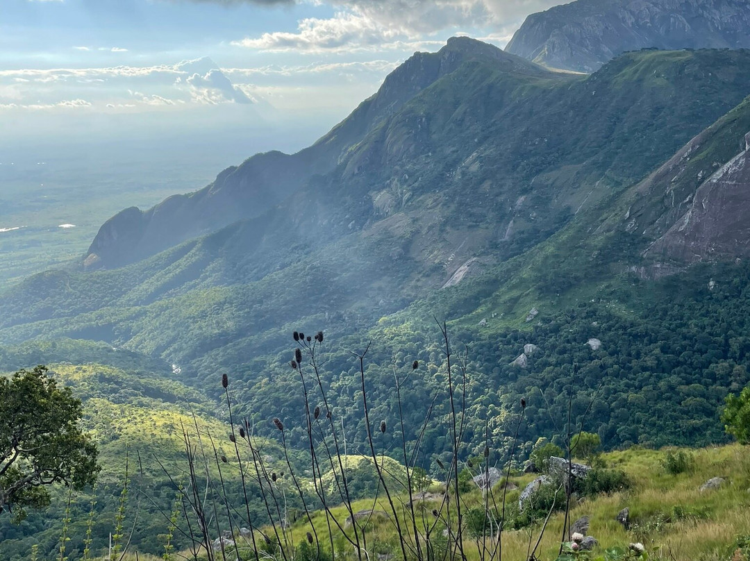 Mulanje Mountain Tour Guide-姆兰杰必去景点
