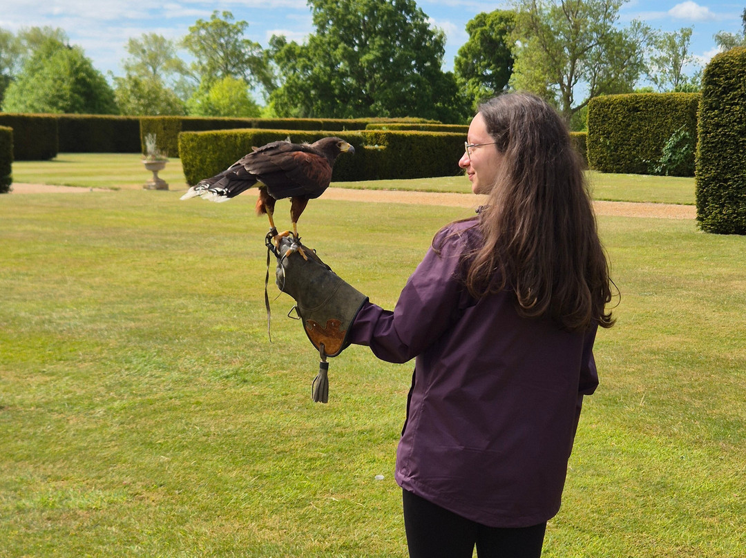 The Hawking Centre-Boughton Lees必去景点