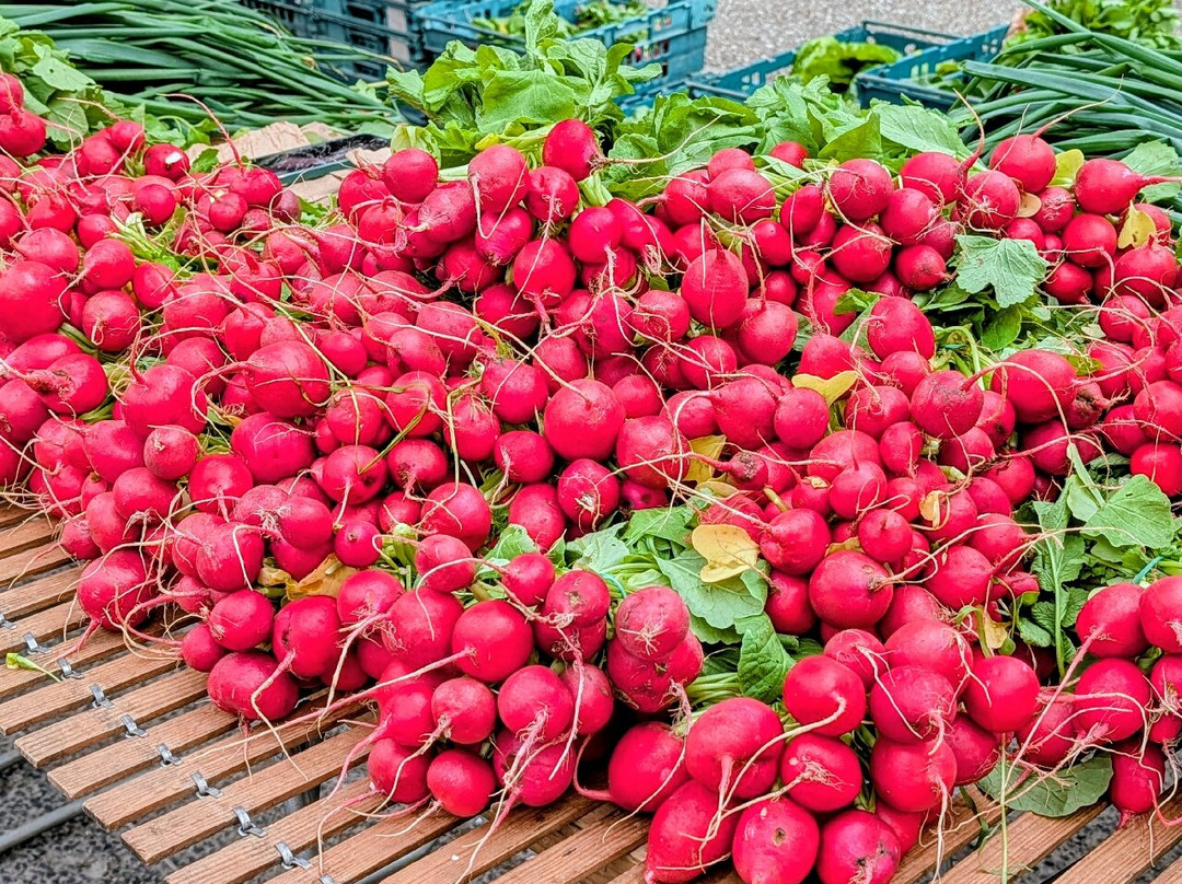 Weekly Farmer's Market Objat