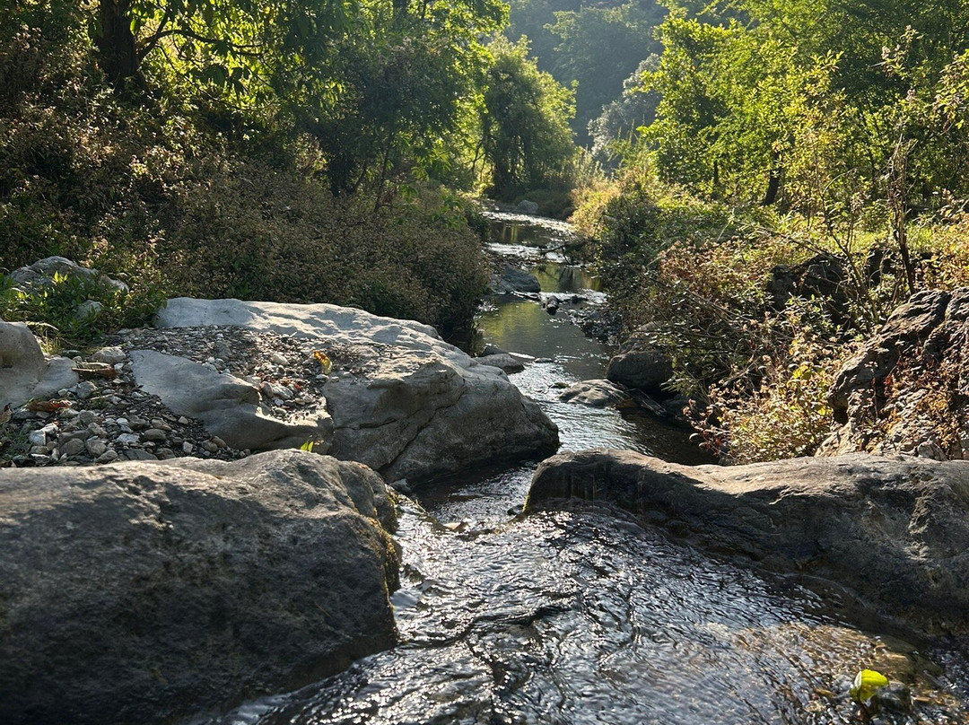 Benog Wildlife Sanctuary-马苏里必去景点