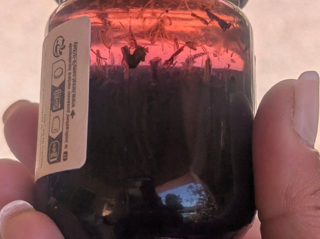 Domaine De La Rose Lancôme-Chateauneuf de Grasse必去景点