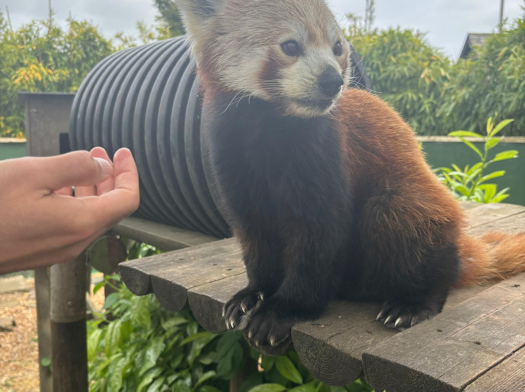 Shepreth Wildlife Park-Shepreth必去景点