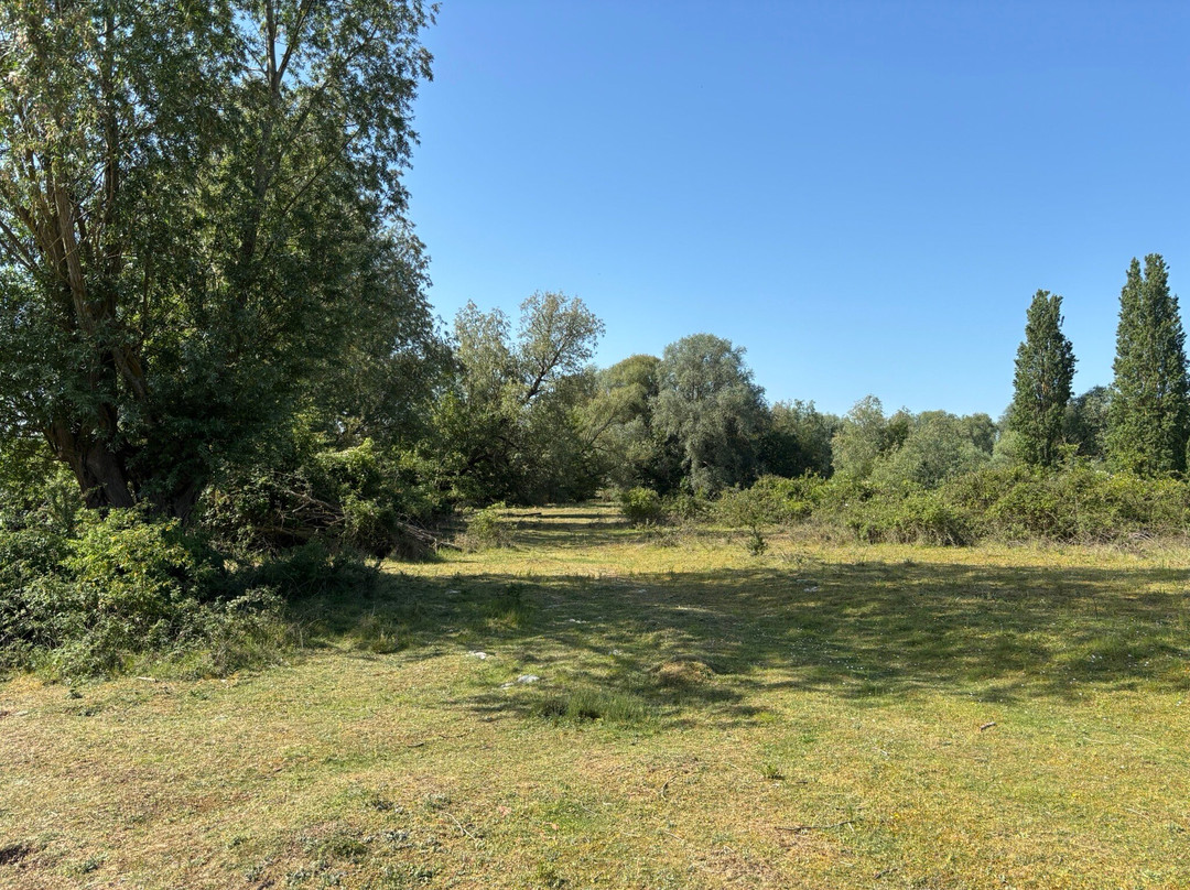 Paxton Pits Nature Reserve-Little Paxton必去景点