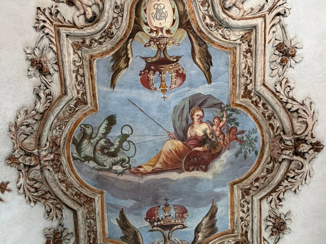 Palazzo Salis e Museo Senza Frontiere-蒂拉诺必去景点