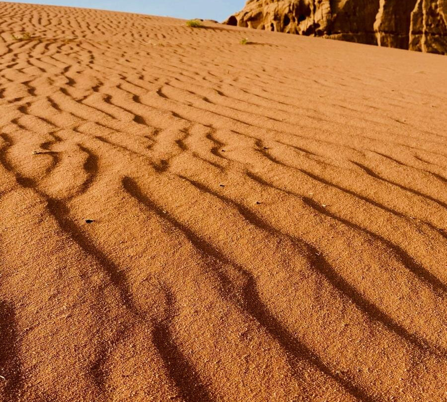 Wadi Rum Nomads-Wadi Rum Village必去景点