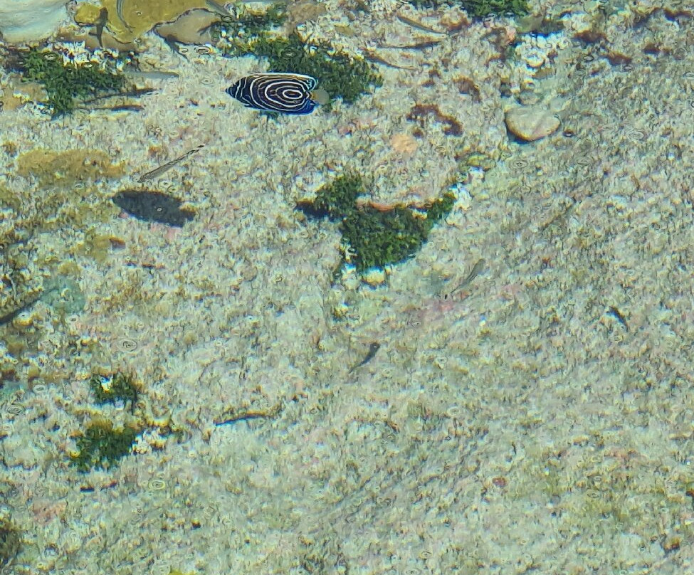 Hikutaveke Reef Pools-Hikutavake必去景点