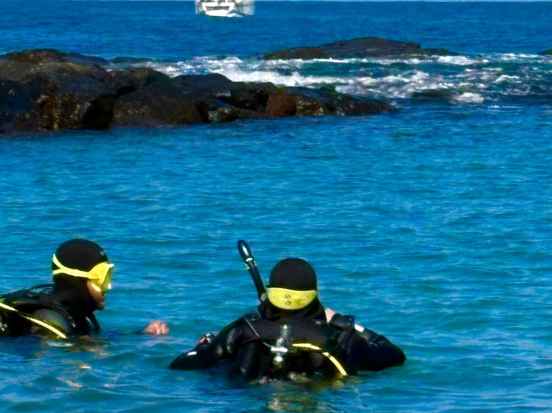 Diving Atlantis Tenerife-洛斯克里斯蒂亚诺斯必去景点