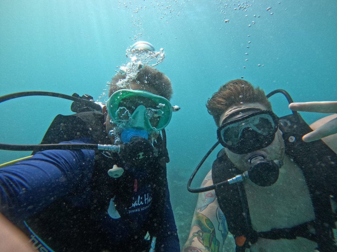 Bali Hai Diving Adventures-蓝梦岛必去景点