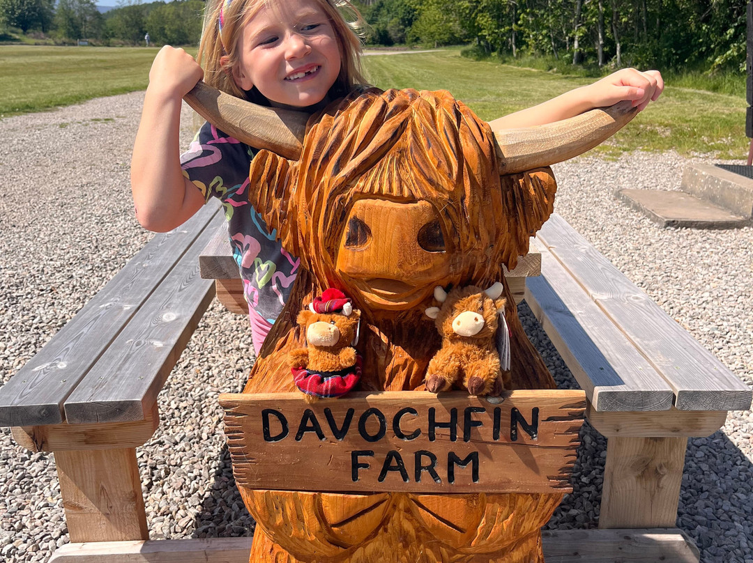 Davochfin Farm, Dornoch-Dornoch必去景点