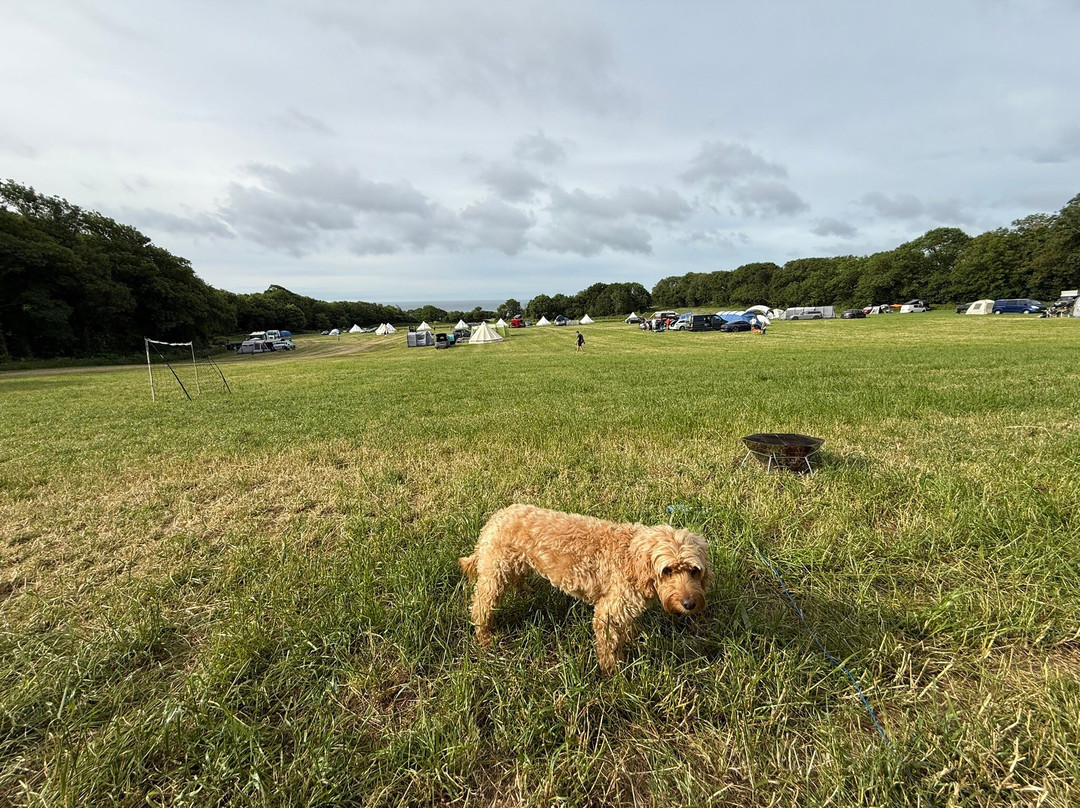 Ringstead Bay-Ringstead必去景点